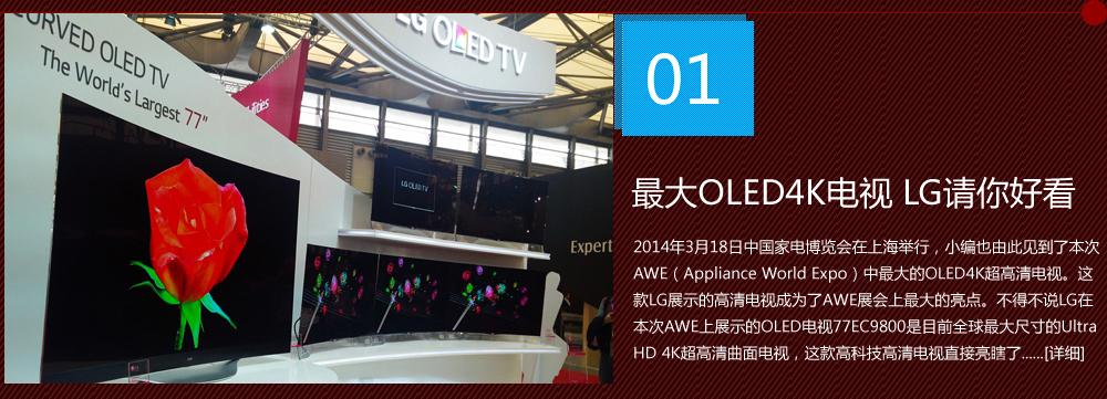 LG OLED�ҕ77EC9800