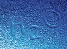 2019�V�|�Hˮչ ĩ�˃�ˮ��K����