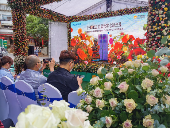 ���p�f���߲�õ�� ����M�r��ȫ�污����502WQ3S��������